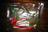 Sealed Mistletoe Solutions-2