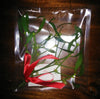 Sealed Mistletoe Solutions