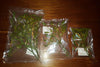 Sealed Mistletoe Solutions-3