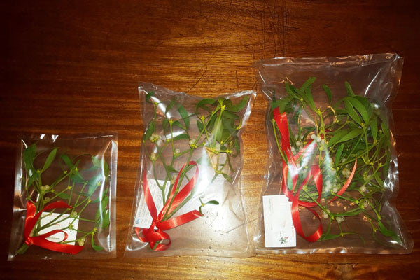 Sealed Mistletoe Solutions